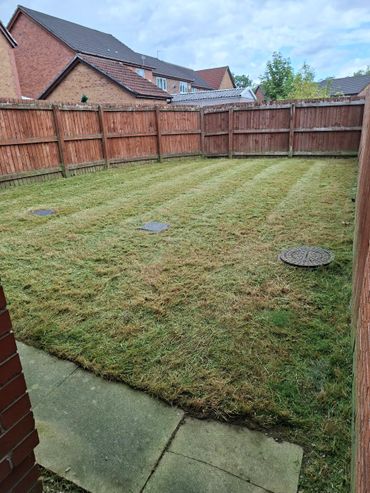 Freshly Mowed Lawn after a years neglect