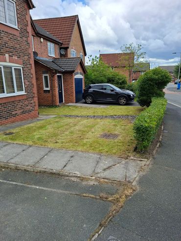 First Mow after a years neglect