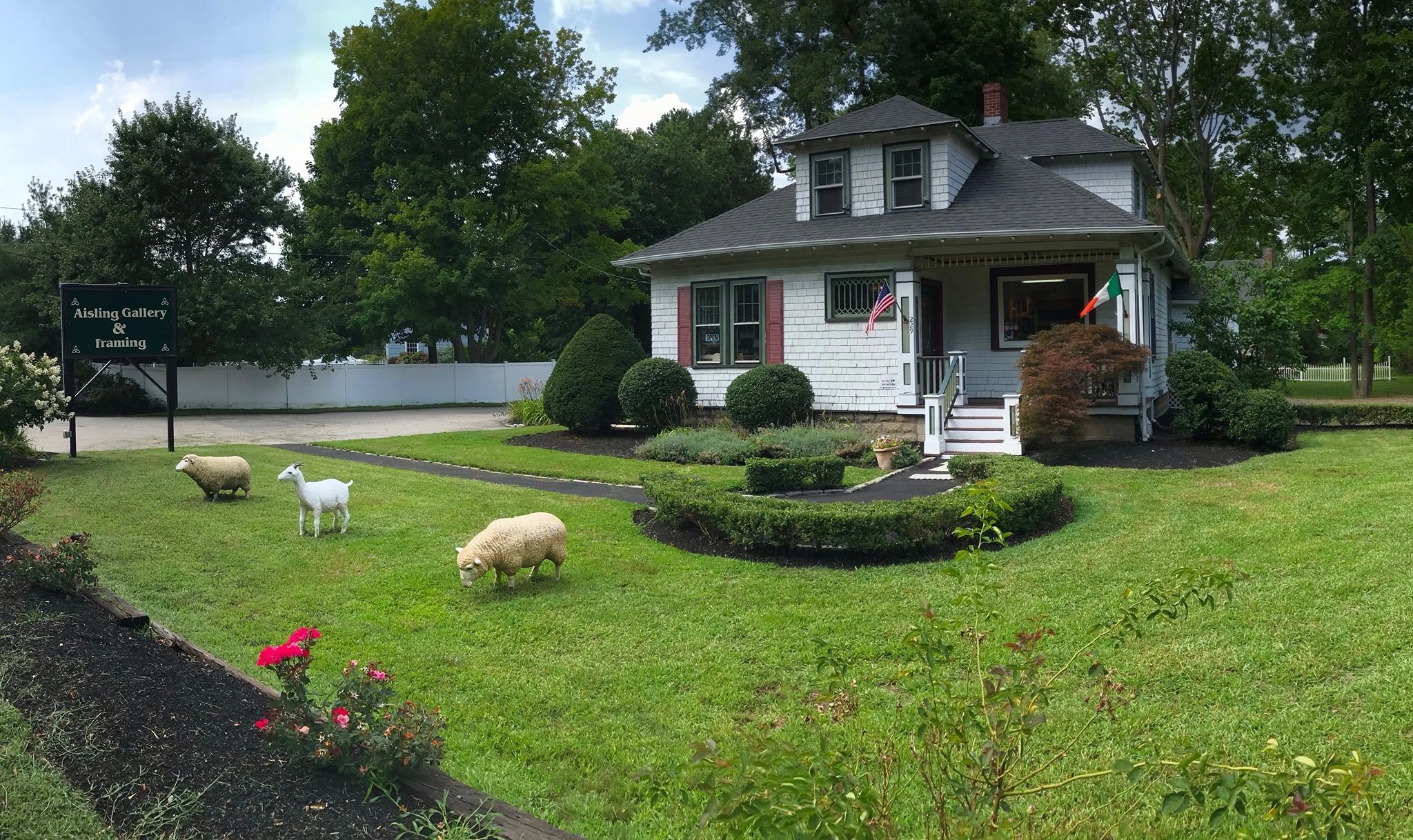 Aisling Gallery and Framing Picture Framing, Art Gallery, Irish Art