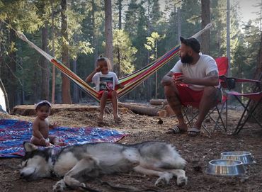 Family camping with kids, dog, and hammock in the forest.
