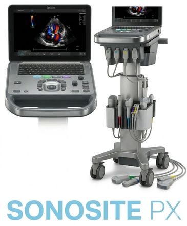 Sonosite PX ultrasound machine with color Doppler imaging on screen.