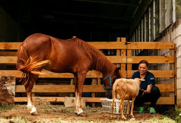 "Empatía"
Maritza Rodríguez Rosario