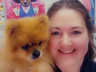 vet tech with pomeranina