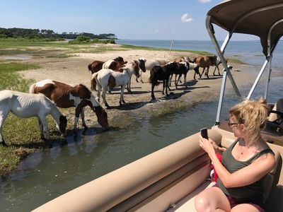 Woman taking pictures of ponies