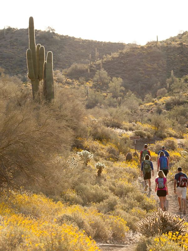 Hiking tour at Gateway at the McDowell Sonoran Preserve