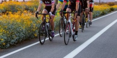 Road cyclists on Sonoran Drive with wild flowers in background and scenic Sonoran Desert view