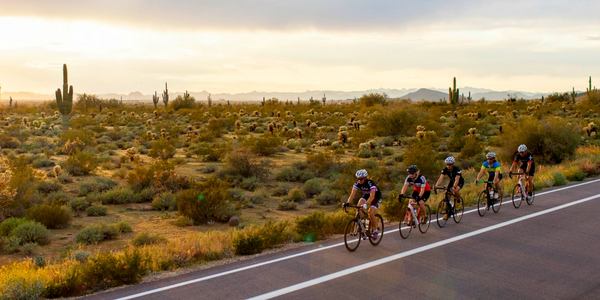 Sonoran Drive Road Bike Tour with sport cyclists on carbon high performance road bikes.