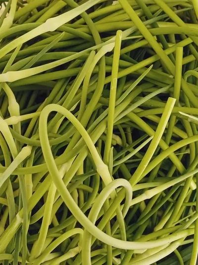 Garlic scapes