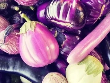 A variety of small eggplants.