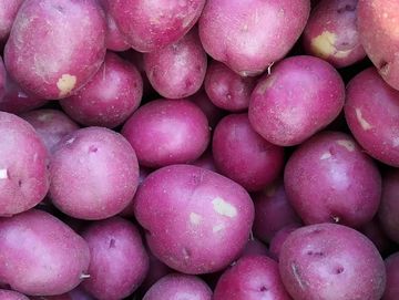 A large pile of red potatoes.