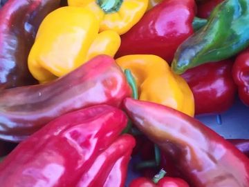 A pile of colorful bell peppers.