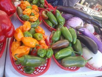 Baskets of various hot peppers.