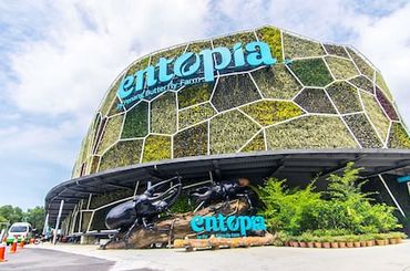 Entopia@Butterfly Farm