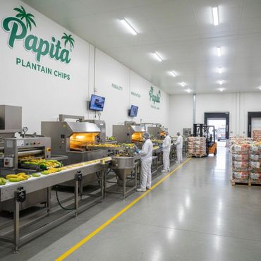 Workers process plantains on an assembly line producing Papita plantain chips.