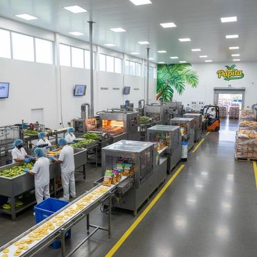 Food processing factory with workers packaging plantain chips on a conveyor belt.