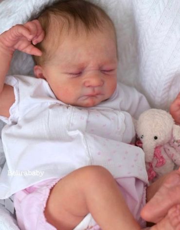 This is a version of Frizzle by a prototype artist. Not my photo