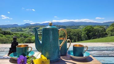 Tea at Ty Farm Retreat