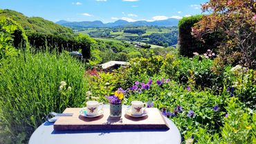 Spring time at Ty Farm Retreat