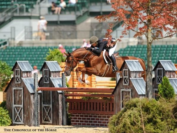 Equestrian jumping competition with a horse and rider clearing a fence.