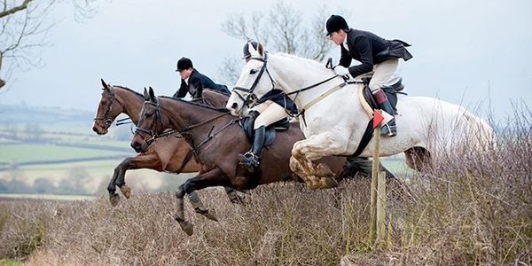 Three riders on horses jumping over a fence.