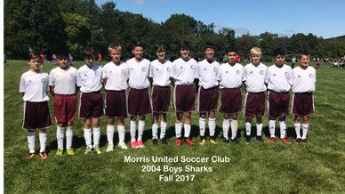 Morris United Soccer Club Travel Team Photo - Boys Sharks 2017
