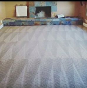 Walker's Steam Carpet Cleaning Detroit MI
