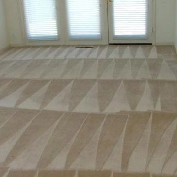 Living room steam carpet cleaning in Detroit MI