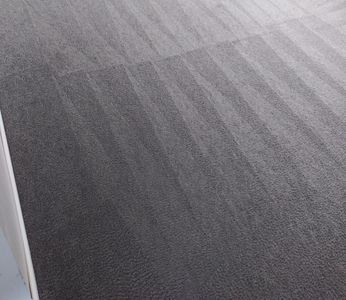 Steam Carpet Cleaning in Detroit MI