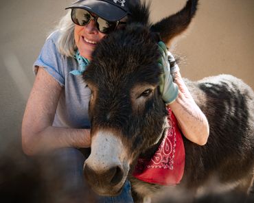 A woman with her head leaning on a dark chocolate mini donkey.