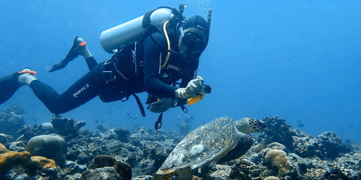 Diving Maldives, Best Dive Center in Maldives, Scuba Diving Maldives, Scuba Diving