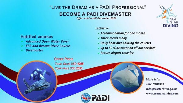 Become a PADI Divemaster
Best dive package
Dive in Maldives
Scuba diving Maldives
Best dive price
Di