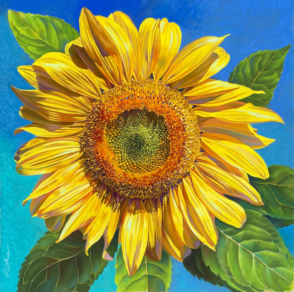 Pastel of Sunflower