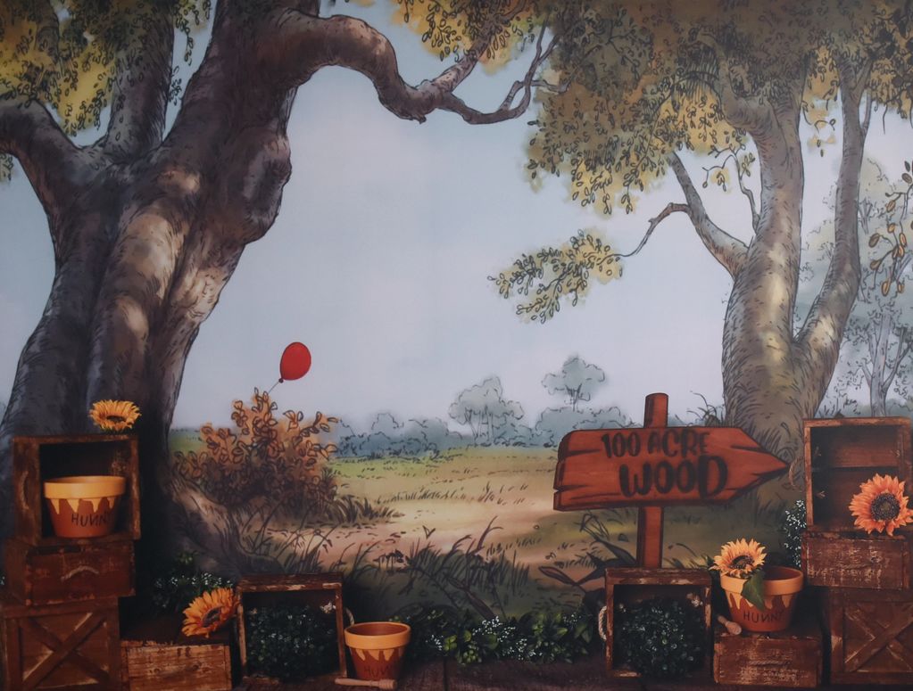 Where's Pooh?

A Winnie the Pooh inspired backdrop which we can add extra props to bring it to life
