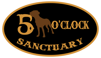  5 O'clock Sanctuary