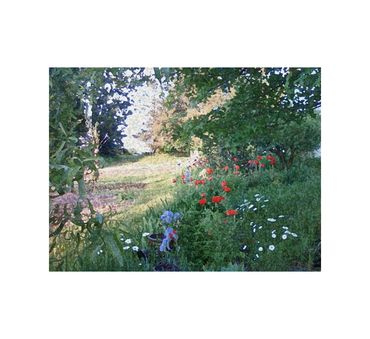 Take the time to smell the flowers!