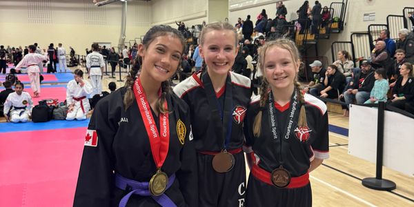 2024 Summit Open Martial Arts Challenge
Girls martial arts
women in martial arts