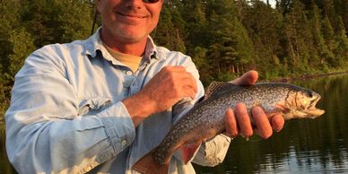 Wild Maine brook trout
