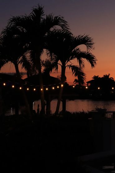 Silhouetted palm trees at sunset with string lights.