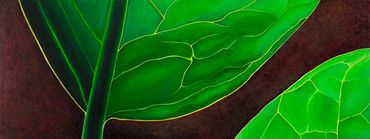 Stunning large wall art of a new green leaf imagining the life giving structure