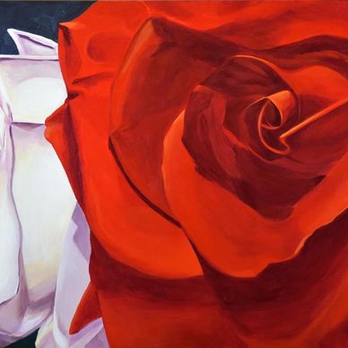 Large bold red rose and shy white rose in the background