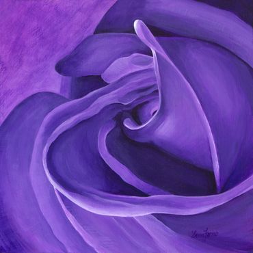 purple rose unfolding in mysterious form