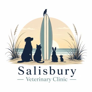 Animal silhouettes by a surfboard at sunset for veterinary clinic.