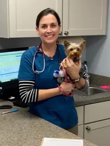 Veterinarian holding a small dog in a clinic.