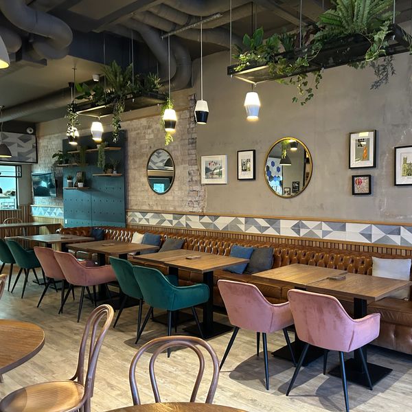 Stylish cafe interior with pastel chairs and hanging plants.