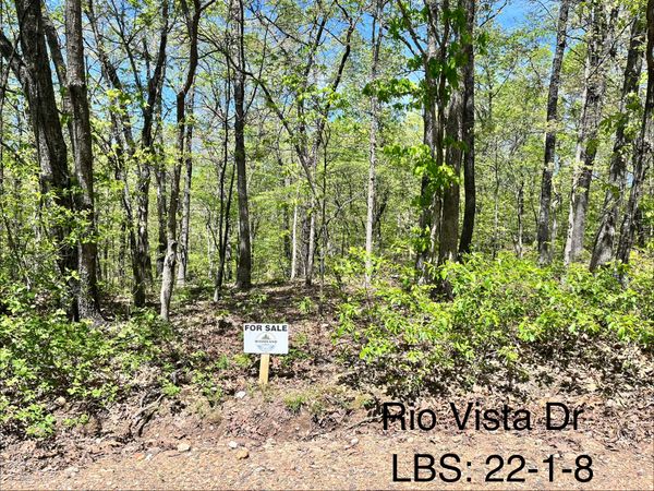 Wooded land for sale with a small sign on Rio Vista Dr.