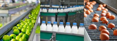 Food and beverage production and processing