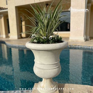 Stone urn planter beside a swimming pool