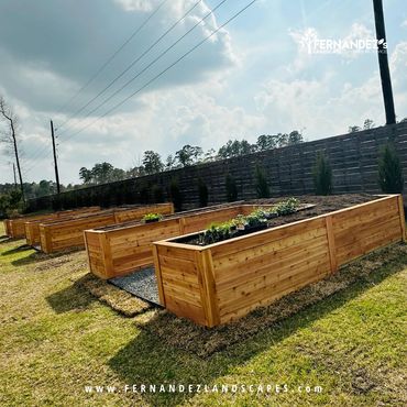 Cedar raised garden beds in a backyard