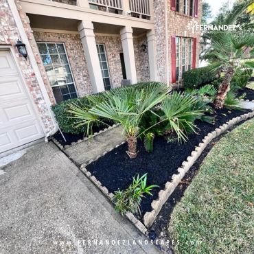 Front yard bed with palms, black mulch and a stone border