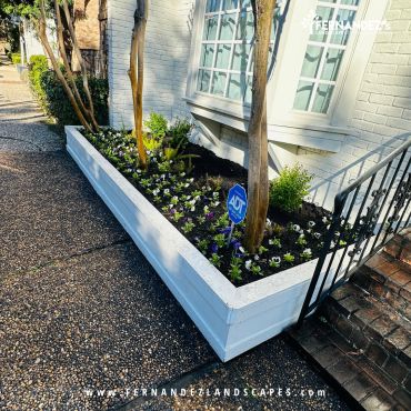 Long white raised planter bed along the front of a house